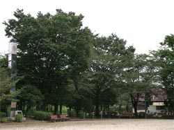 諏訪公園