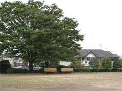 殿山南公園